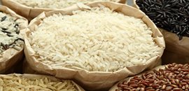 Molineria arroz
